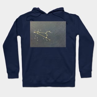 The Constellation of Leo Hoodie
